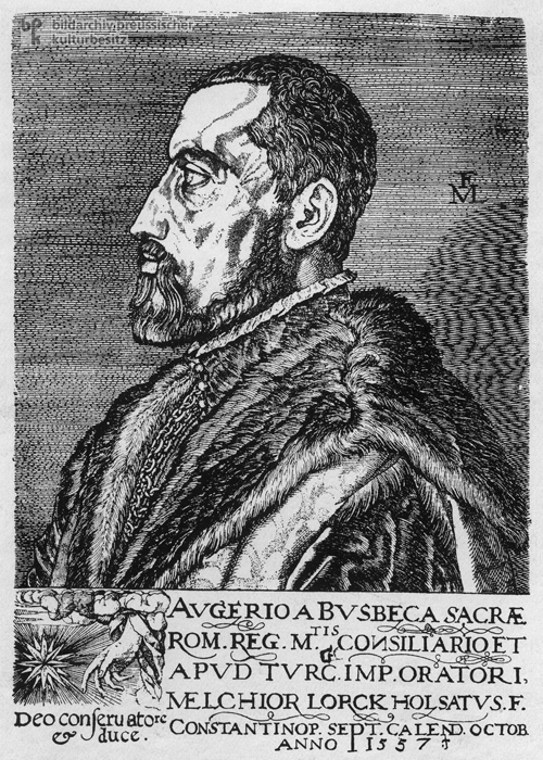 Ogier Ghislain de Busbecq (1557)